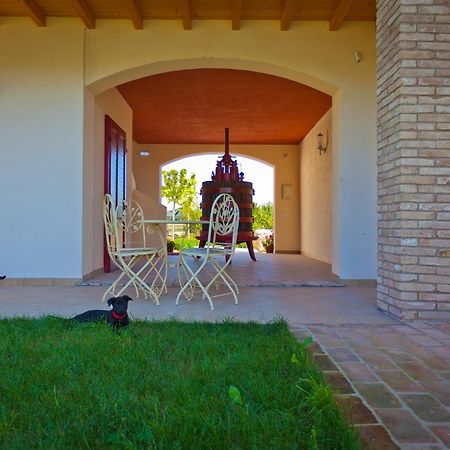 Agriturismo Con Cucina Tipica Nuova Scardua Casa de hóspedes Cavriana Exterior foto