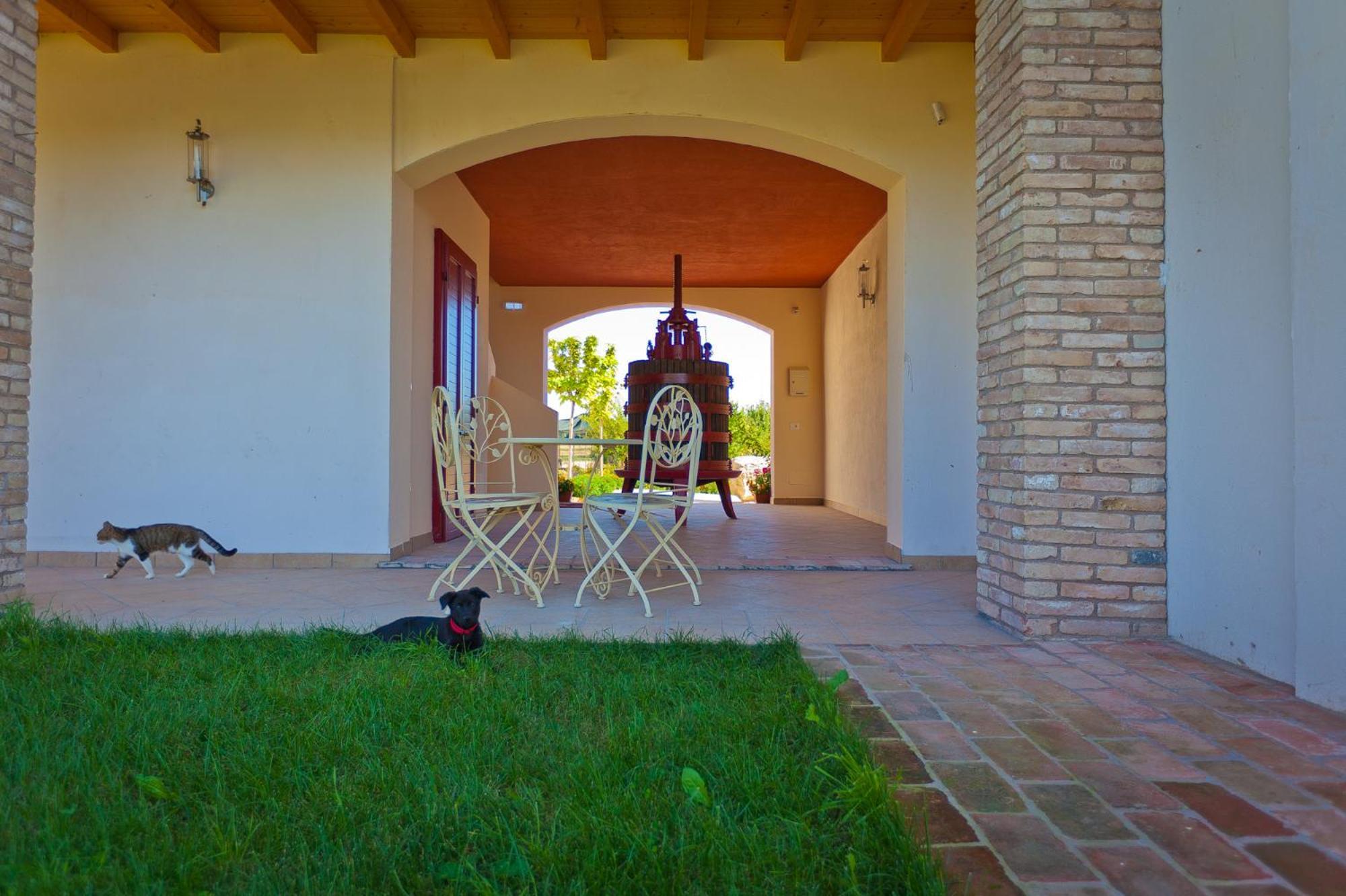 Agriturismo Con Cucina Tipica Nuova Scardua Casa de hóspedes Cavriana Exterior foto