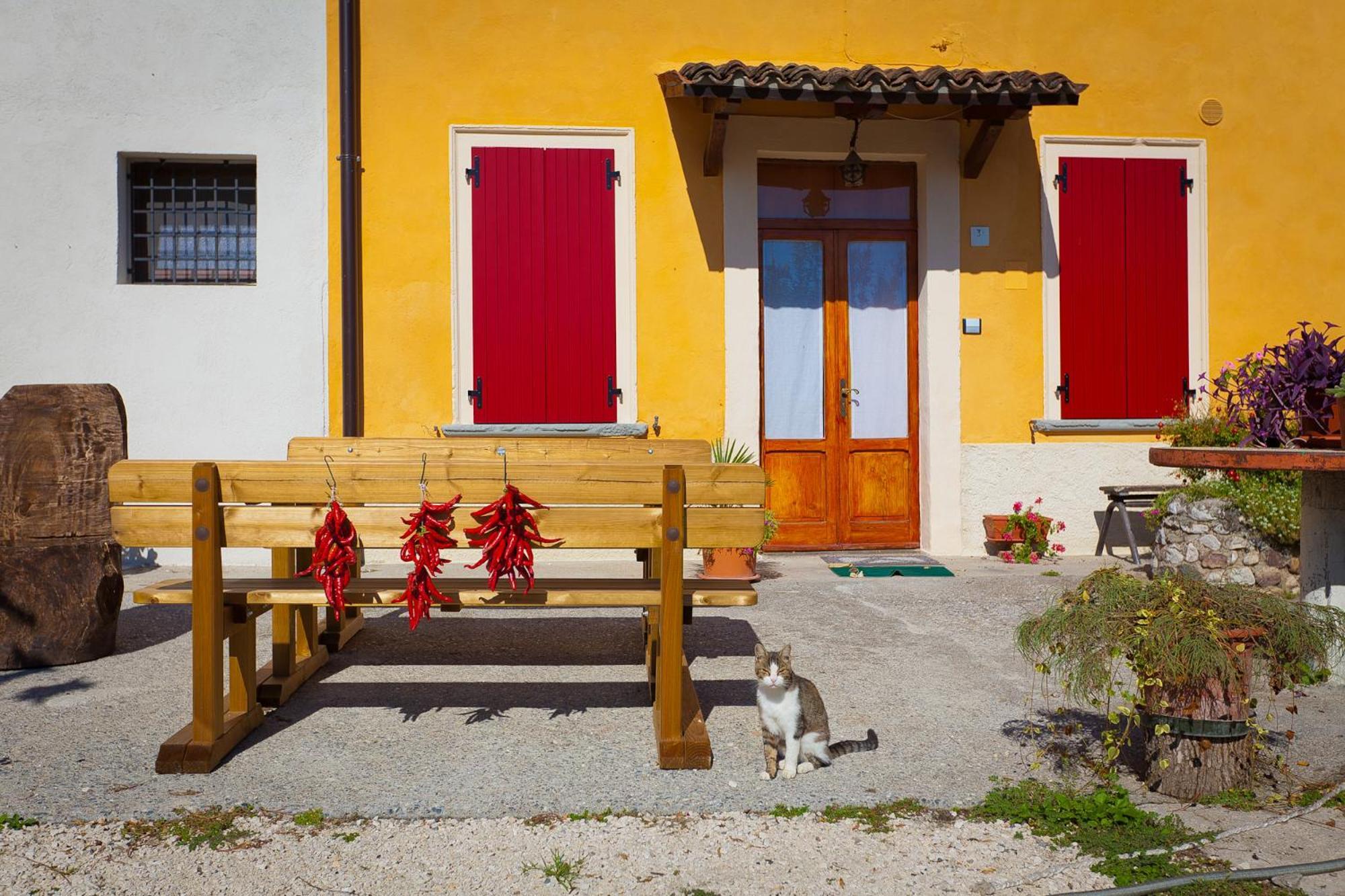 Agriturismo Con Cucina Tipica Nuova Scardua Casa de hóspedes Cavriana Exterior foto