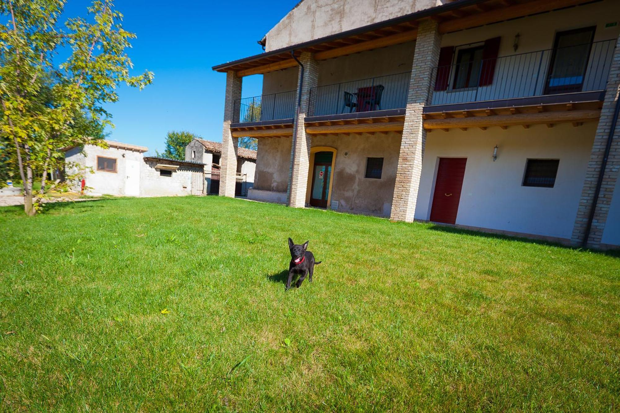 Agriturismo Con Cucina Tipica Nuova Scardua Casa de hóspedes Cavriana Exterior foto