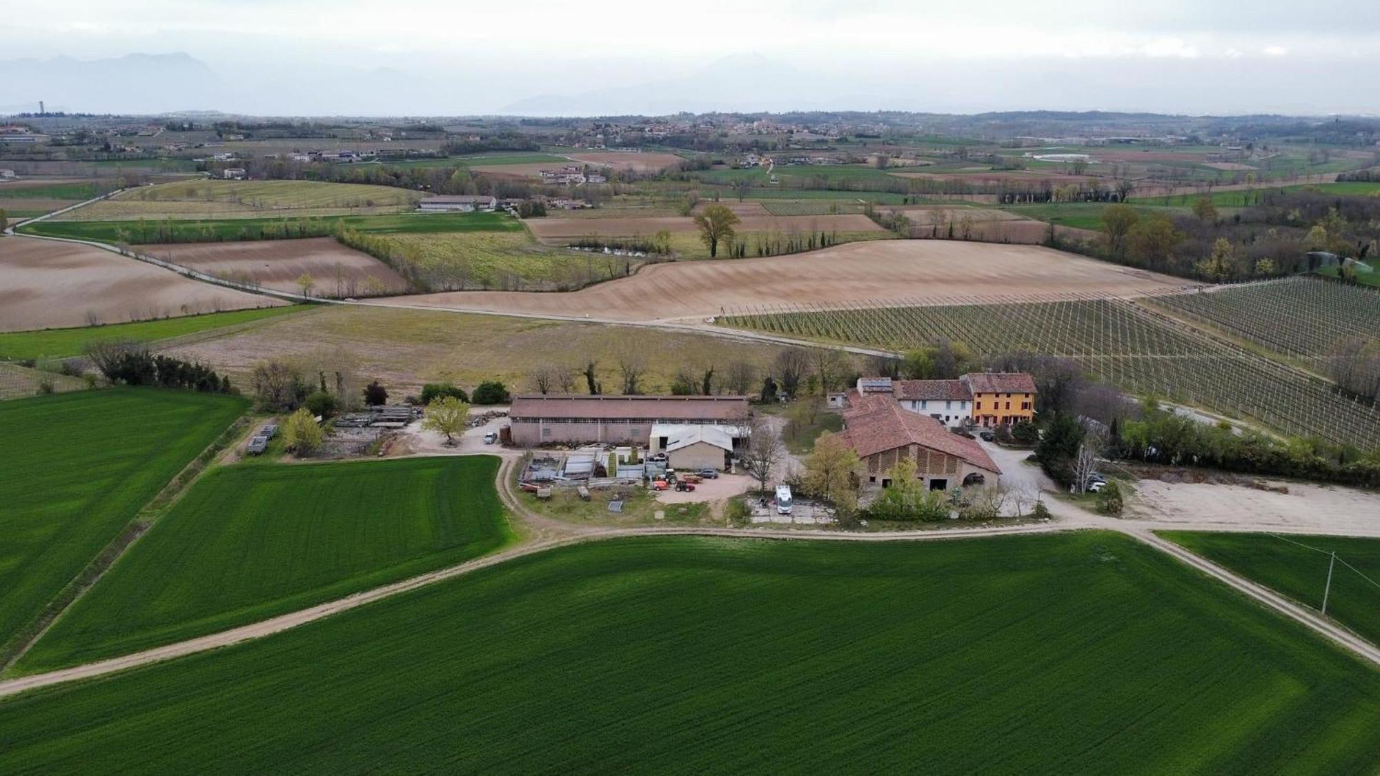 Agriturismo Con Cucina Tipica Nuova Scardua Casa de hóspedes Cavriana Exterior foto